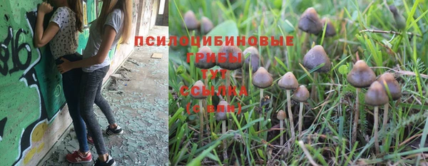 мдма Михайловск