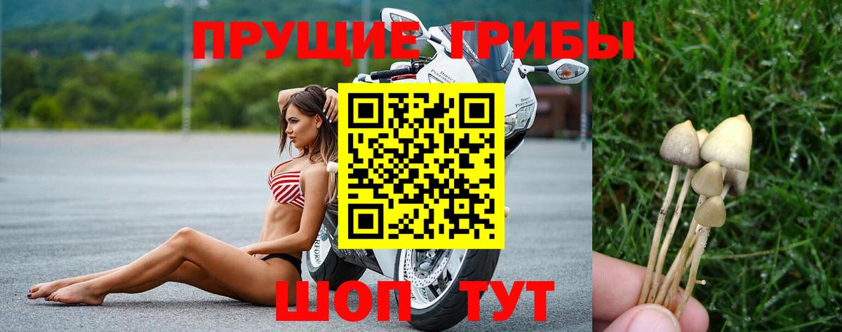 Вейп ТГК Старая Русса